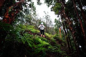 BIB: 
                            <button type="button" onclick="openModal(26204992)" class="btn btn-primary btn-sm float-right btn-popup" data-toggle="modal" data-target=".modal-high-quality">
                        <i class="fas fa-shopping-cart"></i> Add to Cart
                    </button>
                                            <button type="button" onclick="isThisMe(26204992, true)" class="btn btn-success btn-sm float-right btn-popup btn-isme hidden" data-toggle="tooltip" data-placement="bottom" title="นี่คือรูปของคุณใช่ไหม คลิกที่นี่เพื่อเอาเข้าอัลบั้ม">
                        <i class="fas fa-plus"></i> Add to album
                    </button>
                    <button type="button" onclick="isThisMe(26204992, false)" class="btn btn-warning btn-sm float-right btn-popup btn-isnotme hidden">
                        <i class="fas fa-ban"></i> Remove from album
                    </button>